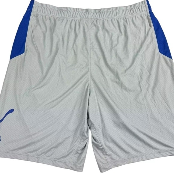 Puma Men's 10" Moisture Wicking Training Cat Shorts Grey/Blue- men short - Picture 7 of 10